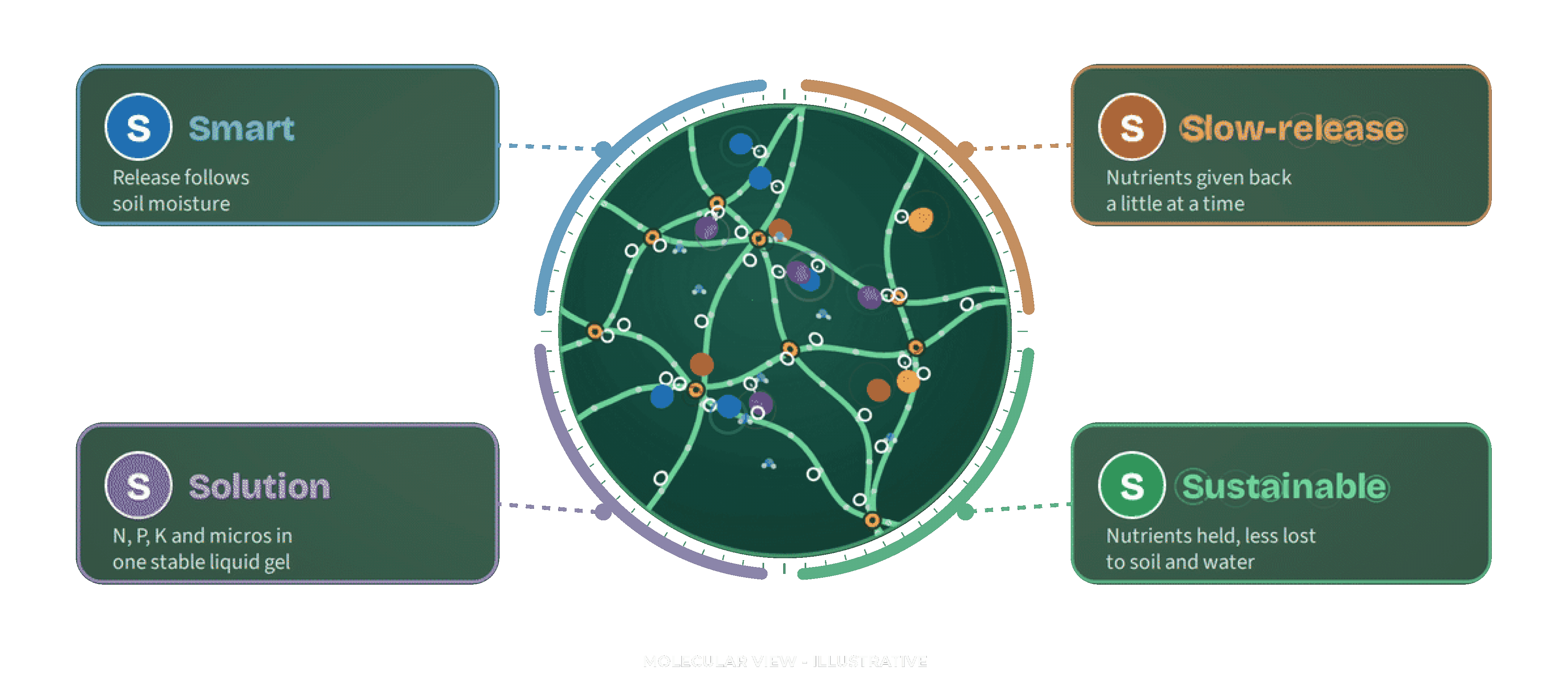 Molecular view of the S4 polymer matrix: Smart, Slow-release, Solution, Sustainable