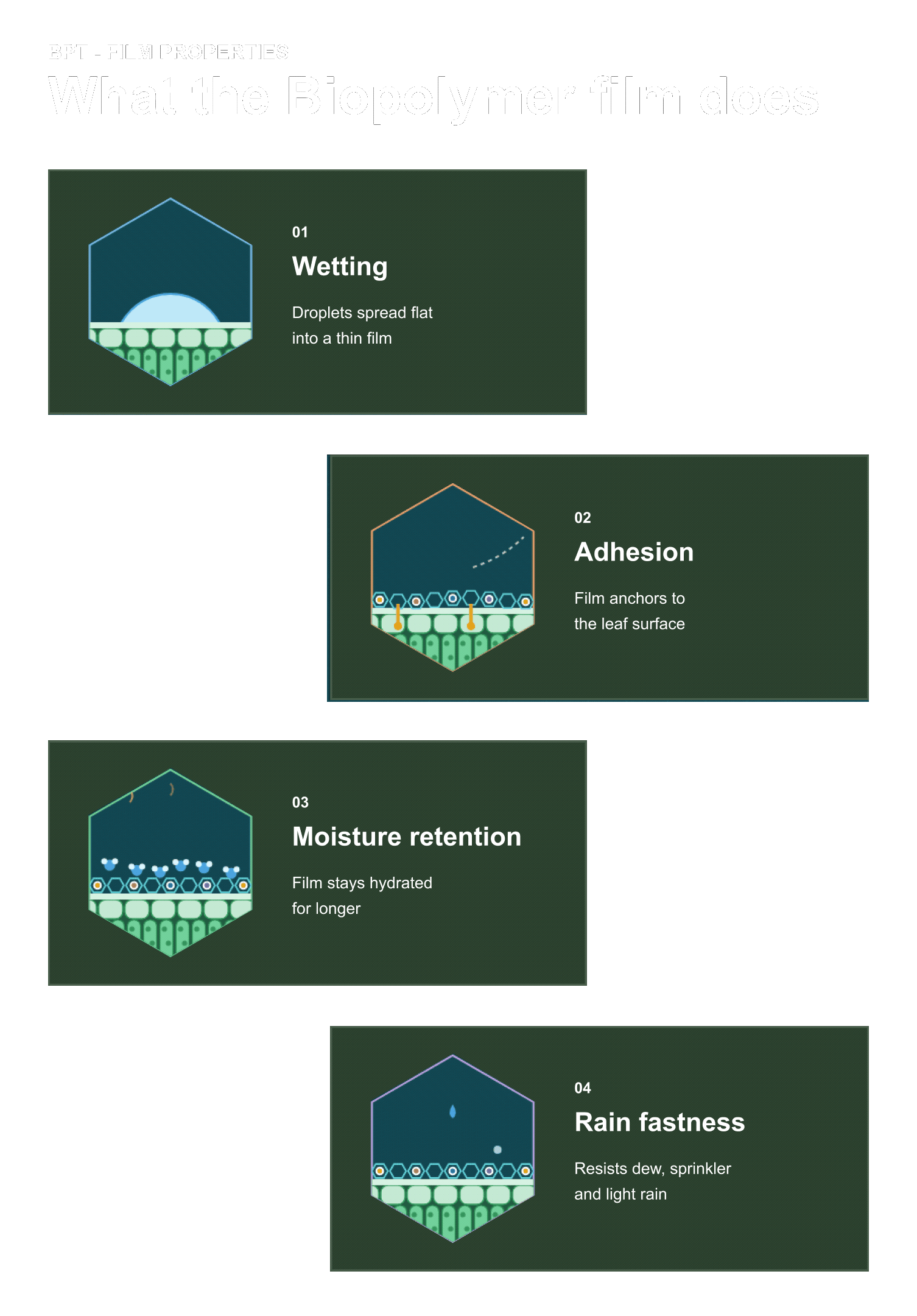 Four film properties: wetting, adhesion, moisture retention and rain fastness
