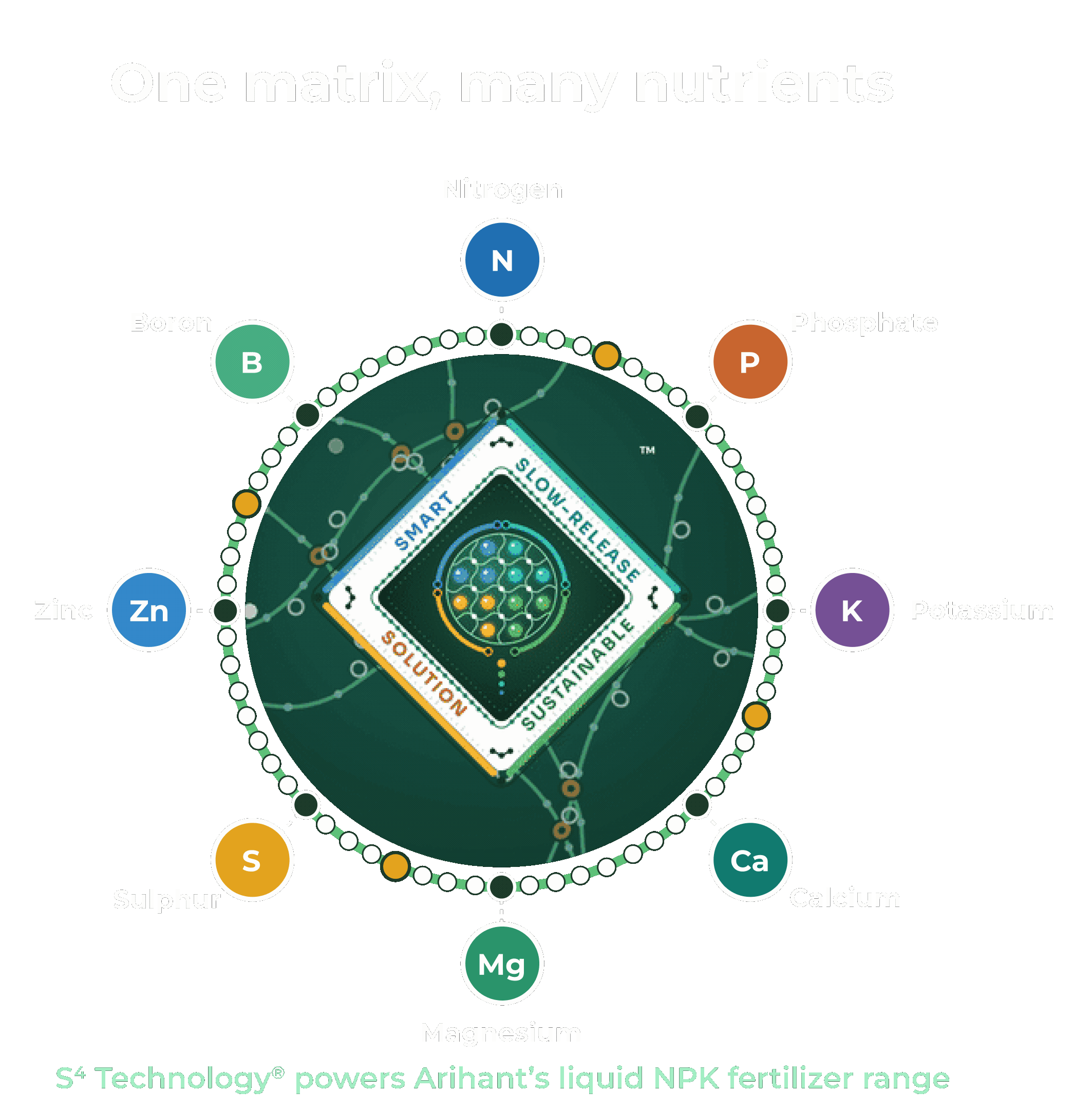 Diagram of S4 Technology showing nitrogen, boron, phosphate, zinc, potassium, sulphur, calcium and magnesium around the polymer matrix