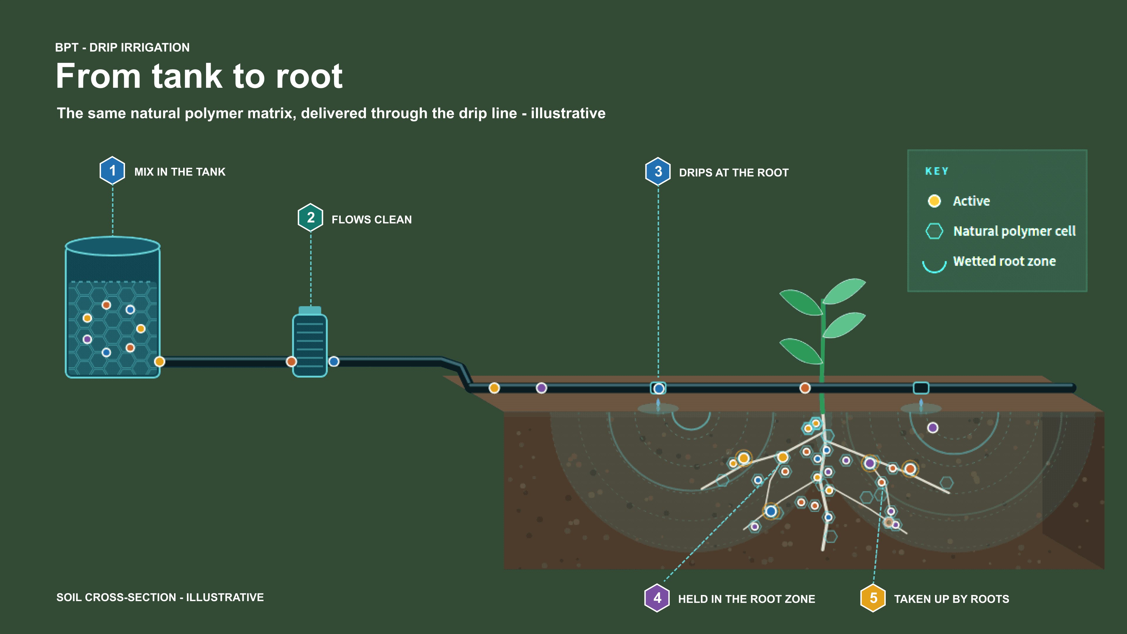 Drip irrigation diagram: product mixed in the tank, flowing through the drip line and held in the root zone